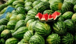 善堂网红吃瓜视频大全集