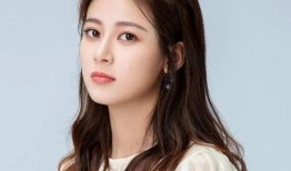 赵昭仪最新爆料视频,最新爆料视频深度解析