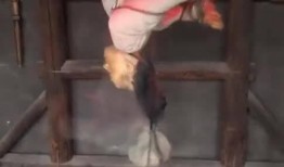 满清十大刑在线观看